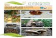Au carrefour du Lot, de l’Aveyron et du Cantal SÉJOUR ...©.pdf · Mourjou, capitale de la Châtaigneraie, rencontre avec Juliette Labrunie, expert en mycologie ... incluses, prestations