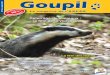 Goupil - ASPAS · PDF fileLe magazine de l’ASPAS Goupil Association pour la Protection des Animaux Sauvages ... coup d'enfants... L'ASPAS était digne-ment représentée par une
