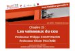 Chapitre 15 : Les vaisseaux du couunf3s.cerimes.fr/media/paces/Grenoble_1112/chaffanjon_philippe/... · Chapitre 15 : Les vaisseaux du cou Année universitaire 2011/2012 Université