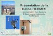 Présentation de la Balise HERMES - sen.eme.free.frsen.eme.free.fr/fz/Doctech/Balise meteo/BALISE_presentation.pdf · Académie d’Aix-Marseille La manche à air est un dispositif