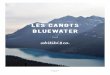 LES CANOTS BLUEWATER - Abitibi&coabitibico.com/resources/medias/files/abtbco-bluewater-fr.pdf · Bluewater est né de notre amour des cours d’eau canadiens et de notre ambition