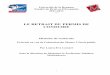 L.-E. Lomari - Le retrait du permis de conduireufr-de.univ-reunion.fr/.../2011-2012/2011-2012_Lomari.pdf · 2015-01-05 · ... définie comme "l'ensemble des moyens juridiques et