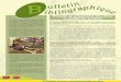 Procédé de préparation des olives et qualité des produitsafidol.org/wp-content/uploads/BB-NOV_DEC2009.pdf · Déshydratation naturelle et industrielle des olives : influence sur