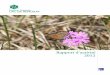 Rapport d'activité 2012 - RESERVES NATURELLES DE … · Entomologie ... ou, en forêt de la Grand'Côte, par la pre- ... SCHWETTERLÉ (stage forêts sur les RNNs de Valbois et Remoray,