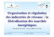 Organisation et régulation des industries de réseaux : …ensieg.dox.free.fr/2A_SEM/SEM_IM/D%E9r%E9gulation/Cours_ORIR... · la coordination interne plutôt que de passer par le
