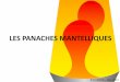 LES PANACHES MANTELLIQUES - ESPE 2013/confs/ANNEXE...  -Volcanisme -Tectonique III â€“ Arguments