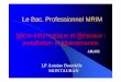 Le Bac. Professionnel MRIM Micro-informatique et …blaje.free.fr/pdf/Accueil en MRIM_06.pdf · Le MRIM à Montauban : les grands axes de la Première année ... - Développer un