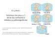 Chapitre 6 : Tectonique des plaques 1 : dérive des ...sfa.univ-poitiers.fr/geosciences/wp-content/uploads/sites/7/2016/... · résultats (séismes, volcans, chaînes de montagnes,
