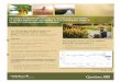 La Stratégie québécoise sur les pesticides 2015-2018 · Fréquence de dépassement du critère de protection de la vie ... risque pour la santé et à 20 % de l ... Toute espèce