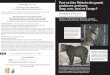Modérateurs : Valérie Hannin (Revue L’Histoire) et …old.rdv-histoire.com/IMG/pdf/pgmoriceau_blois.pdf · et co-auteur de L’ours des Pyrénées : les 4 vérités, Privat 