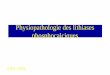 Physiopathologie des lithiases phosphocalciques - …adnso.org/historique/physiopathologie.pdf · récepteurs des oestrogènes . Ten Bolscher et coll. J. ... rôle du sodium • rôle