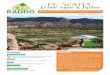 SOMMAIRE LERADDO - Groupe de Travail … · palmier dattier en particulier la ... promouvoir le développement durable des oasis. Le regroupement de ces acteurs ... le travail de