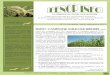 SOMMAIRE N° 011 de juillet - août - septembre 2012 · Fiche technique : la culture d’oignon hivernal Prema 178 sur planches en zone sahélienne et soudano-sa-hélienne ..... 4