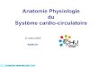 Anatomie Physiologie du Système cardio-circulatoiredocsamu.info/doc/SYSTEME CIRCULATOIRE.pdf · Dr CAILLOCE PREPA IADE 2013 3 / 43 ROLE DU SYSTÈME CARDIO-CIRCULATOIRE Système fermé