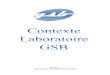 Contexte « Laboratoire GSB » Sommaire( · - VLAN 802.1Q . PPE Gonesse Groupe 2 Contexte Laboratoire GSB 5 HP E-MSM430 - Interface de gestion sécurisée - Ligne de commande (telnet