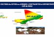 La CULTURE du COTON en AFRIQUE : CONTRAINTES … · Le coton joue un rôle économique majeur dans les zones rurales des pays africains de l’Ouest et du Centre (AOC). ... Les sols