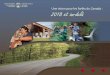 Unevision pour les forêtsdu Canada : 2018 et au-delà 2018 and Beyond_FR.pdf · vue de renouveler la vision pour les forêts du Canada. Conseil canadien des ministres des forêts