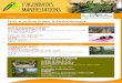 Sortir et se divertir dans le Perche Normand Lettre info tourisme.pdf · Accompagné par un guide-conférencier du Pays d’art et d’histoire, vous découvrirez non seulement le