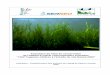 Evaluation de l’état de conservation de l’habitat d’intérêt ... · Indicateur Herbiers 2016 Habitat "Lagunes côtières" : étang de Salses-Leucate 2 Cette étude est réalisée