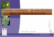 Plantes invasives : la coordination dans les Pays de la … · manuel de la Jussie : phase ... Méthodes et recommandations pour la gestion Facteurs de limitation et de prévention