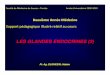 LES GLANDES ENDOCRINES (2) - …cytogenetiquedesousse.y.c.f.unblog.fr/files/2009/09/lesglandes... · Un rôle dans la synthèse de la parathormone ou dans la régulation de sa sécrétion