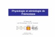 Physiologie et sémiologie de l’hémostase et... · cardiovasculaire 2011-12 le fibrinogène et la fibrine • Le fibrinogène est une protéine plasmatique (2-4 g/l) synthétisée