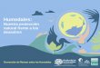 Flyer Tag des Lichts / Journée de la lumière · Humedales: Nuestra protección ... natural frente a los desastres Convención de Ramsar sobre los Humedales. Definición Humedales-Ramsar