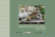 Anegada Iguana, Cyclura pinguis · F Anegada Iguana, Cyclura pinguis, 2006–2010 Species Recovery Plan 3 Foreword & Executive Summary Collectively, the West Indian iguanas of the