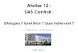 Atelier 13 : SAS Central - archives.jprs.frarchives.jprs.fr/sites/default/files/prez/30092016_1430_joffre5_at... · 5- Test de réponse ventilatoire au CO2 6- Bilan cardiologique