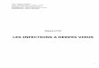 LES INFECTIONS A HERPES VIRUS - L3 Bichat 2013 …l3bichat2013-2014.weebly.com/.../ue9-infection__herpes_virus.pdf · 2 Sommaire : I) Généralités sur les herpès virus et leurs