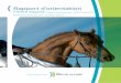 Rapport fili.re .quine BLR DEFINITIF - paysdelaloire.fr · Conseil régional des Pays de la Loire - Rapport d’orientation Filière Équine – Budget Supplémentaire – juin 2007