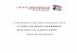 NOUVELLE AQUITAINEnouvelleaquitaine-handball.org/wp-content/uploads/2018/10/CMCD... · contribution mutualisee des clubs au developpement nouvelle aquitaine saison 2018/2019