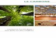LE CARBONE - pepiniereforestiere.fr · CARBONE FORÊT- BOIS La forêt et le bois sont aujourd’hui des éléments majeurs de la lutte contre le réchauffement climatique. Les écosystèmes