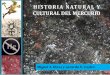 HISTORIA NATURAL Y CULTURAL DEL MERCURIOaargentinapciencias.org/wp-content/uploads/2017/10/libro_historia... · capÍtulo 4: el mercurio puesto en el ambiente por procesos naturales