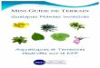 Quelques Plantes Invasives - Bretagne Environnement · (Institution du Canal d’Ile et Rance Manche Océan Nord) Introduction ... Plantes herbacées annuelles généralement de 0