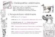 L'ACUPUNCTURE en médecine équine · DMV Eva Jonville L'Acupuncture vétérinaire 5 000 ans av JC, en Égypte 4 000 ans av JC: Lacupuncture vétérinaire né en chine En 500-600
