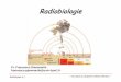 Radiobiologie - residentsmednuclrabat.e.r.f.unblog.frresidentsmednuclrabat.e.r.f.unblog.fr/files/2008/05/radiobiologie.pdf · Radiobiologie p.2 Plan Mécanismes au niveau moléculaire