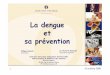 La dengue et sa prévention - cstvn.free.frcstvn.free.fr/Downloads/Renaudat.pdf · 1 La dengue et sa prévention Dr Charlotte Renaudat Directrice adjointe 21 octobre 2008 Philippe
