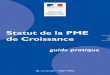 Statut de la PME de Croissance - archives.entreprises.gouv.fr · 6 Les principaux critères d’éligibilité au Statut de la PME de Croissance La sélection des PME se fait sur des