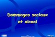 Dommages sociaux et alcool - sfalcoologie.asso.fr · Société française d’alcoologie 3/49 Dommages sociaux et alcool - 2009 Introduction La quantification des dommages sociaux