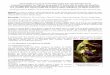 Article publié sur le site de la SFO Rhône-Alpes http ...sfo.rhonealpes.free.fr/article/fusca.pdf · difficult Ophrys fusca group, the author shows in detail the morphometric and