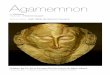 Agamemnon - Dossier 2013 - Les Indépendanceslesindependances.com/wp-content/uploads/2013/11/Agamemnon-Dossier... · Création les 21, 22 et 23 mars 2013 au Forum du Blanc-Mesnil