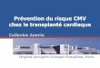 Prévention du risque CMV chez le transplanté cardiaque · Défenses anti-CMV et immunosupression Défenses cellules T CD4 et CD8 spécifiques Les corticoïdes diminution des cytokines