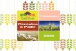 Céréales à Paille 2018 - cpaserre.com · Mathieu DA FONSECA : 06 42 11 68 96 - mathieudafonseca@cpaserre.com Jérôme LAFAYE : ... Codes de Bonnes Pratiques Agricoles, d'après