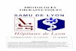 SAMU DE LYON - fortunet.free.frfortunet.free.fr/medecine/Protocole_SAMU_69.pdf · Cardiologie avec monitoring . Page 3 PROTOCOLES THERAPEUTIQUES ... ASYSTOLIE ou AESP . Page 8 PROTOCOLES
