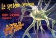 [PPT]Le système nerveux: le voyage de l'influx nerveux …pages.infinit.net/wave/diaporamasys_nerveux_final.ppt · Web viewArial Times New Roman Modèle par défaut Slide 1 Slide