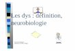 Les dys : définition, neurobiologiepedagogie.ac-toulouse.fr/ien09-saint-lizier/spip/IMG/pdf/Les_dys... · C’est par l’étude de cerveaux de personnes décédées lors d’AVC