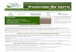 Pommes de terre - DRAAF Hauts-de-Francedraaf.hauts-de-france.agriculture.gouv.fr/IMG/pdf/BSV_pomme_de... · 1 SOMMAIRE : Mildiou : situation sur le terrain BSV pomme de terre : Les