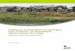 Politiques d’adaptation et synergies avec la Redd+ en ... · par an en RDC 16 8 Événements politiques en lien avec l’adaptation au changement climatique en RDC 19 9 Projets