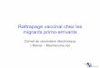 Rattrapage vaccinal chez les migrants primo-arrivants · Les six maladies-cibles du programme élargi de vaccination l Tuberculose l Diphtérie l Tétanos l Poliomyélite l Coqueluche